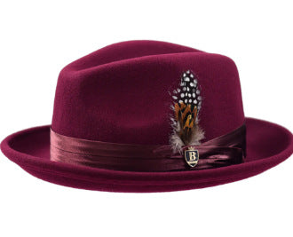 Amazon LAZADA cross-border wool top hat, bow feather men's jazz hat, hot autumn and winter hats in Europe and America