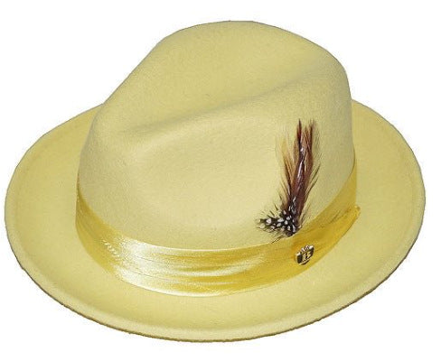 Amazon LAZADA cross-border wool top hat, bow feather men's jazz hat, hot autumn and winter hats in Europe and America